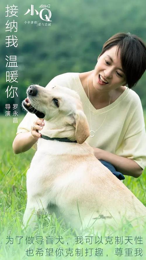 特伦托大学金融文凭证书